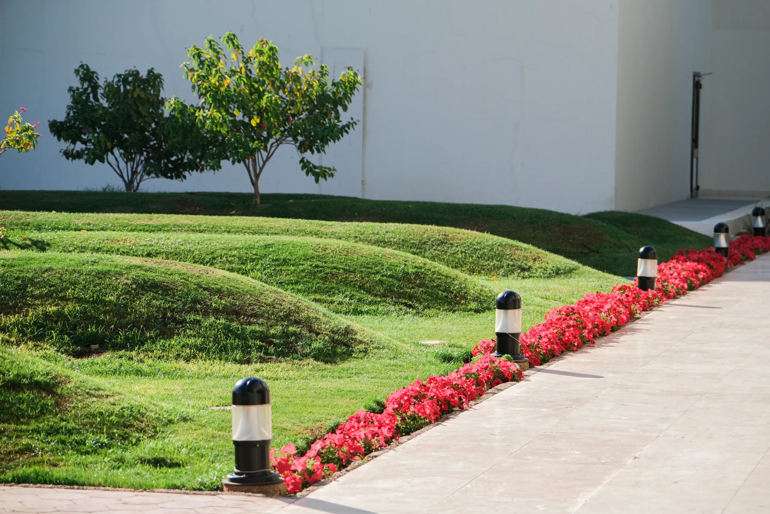 Commercial landscape installation