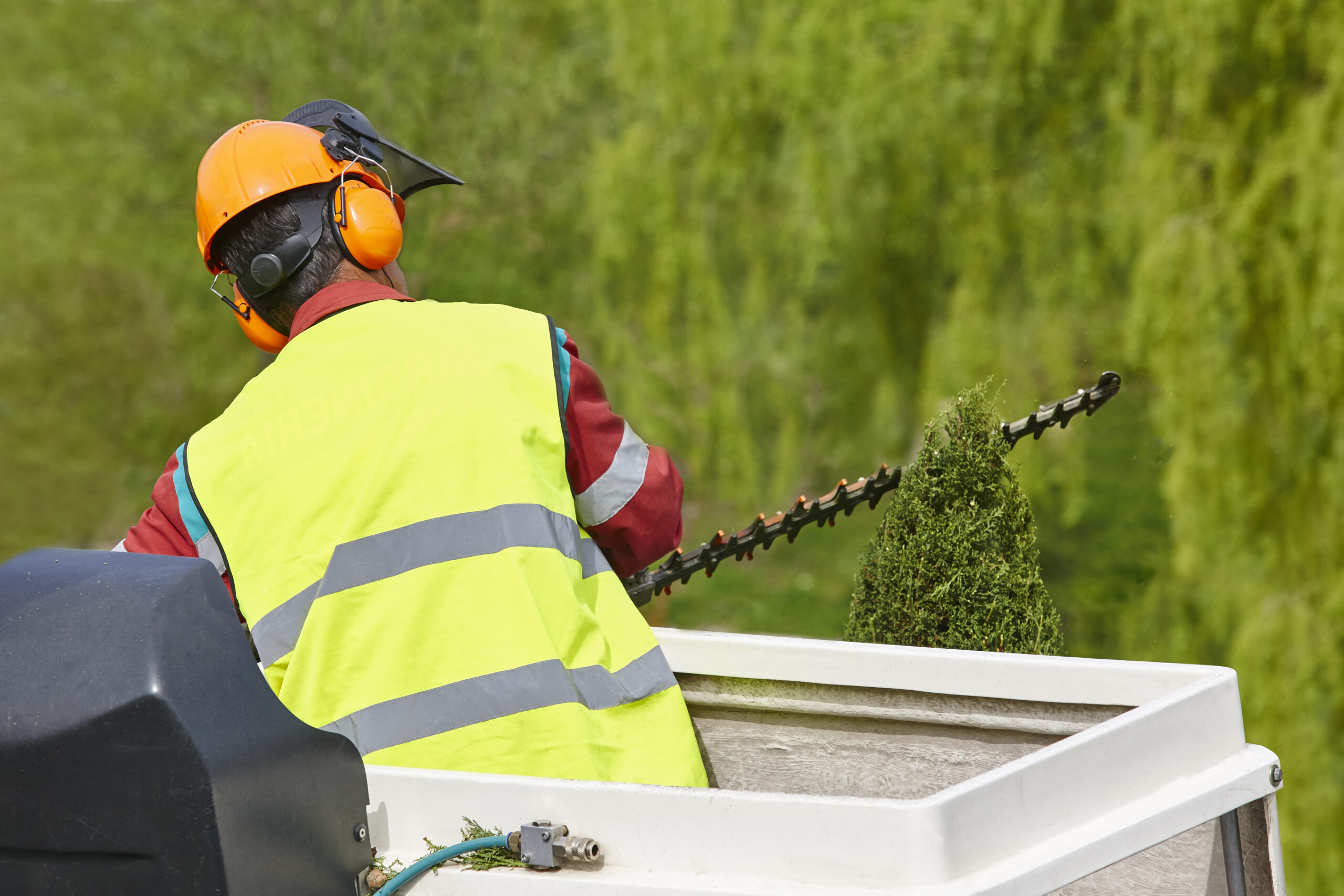Grounds maintenance crew and equipment at a commercial site
