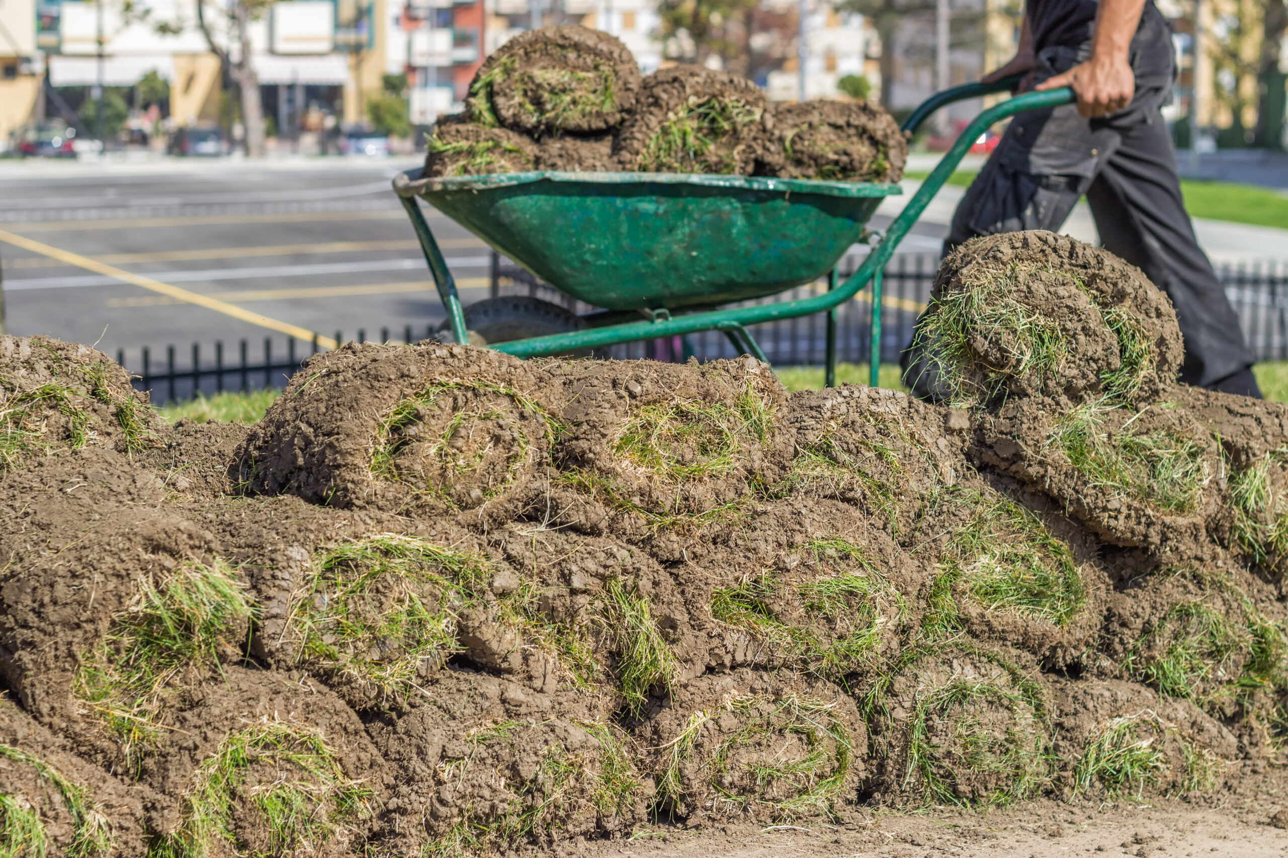 Sod rolls being laid on a commercial property
