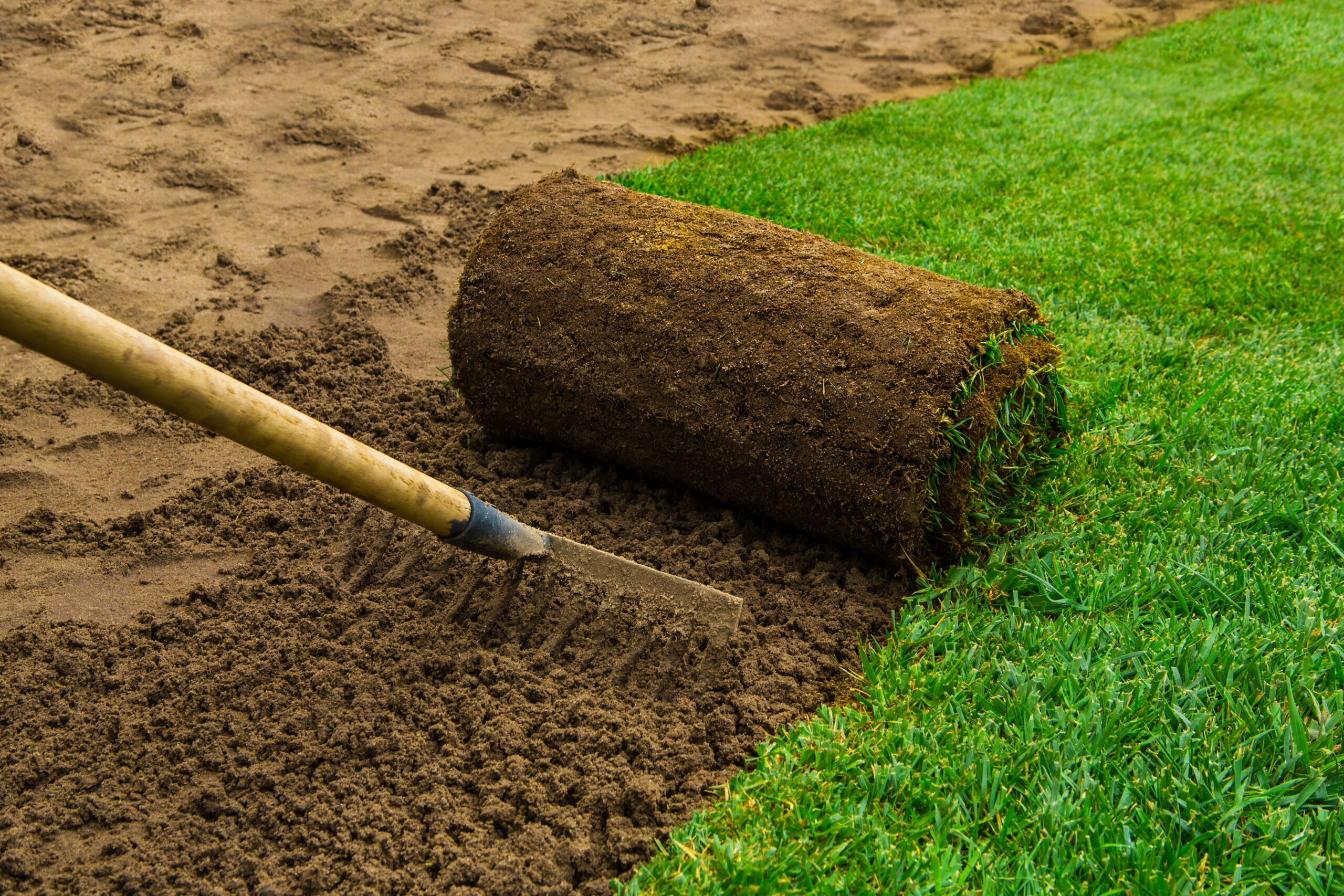 Turf being removed and replaced with drought-tolerant planting