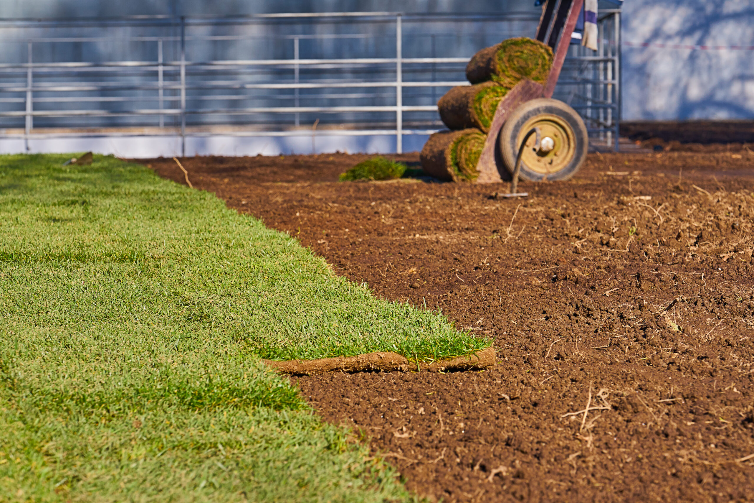 Turf conversion — Kaysville — Kaysville, UT